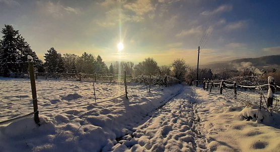 Winterspaziergang und die Stille genie&szlig;en (Foto: Heike Herzberg)
