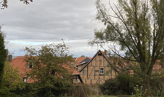 Weiterhin mildes Wetter in Aussicht (Foto: oas) Weiterhin mildes Wetter in Aussicht (Foto: oas)