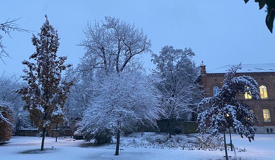 Der Winter kehrt zurück. bringt er auch wieder Schnee? (Foto: oas) Der Winter kehrt zurück. bringt er auch wieder Schnee? (Foto: oas)