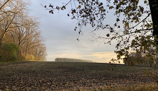 Wetter (Foto: Eva Maria Wiegand)