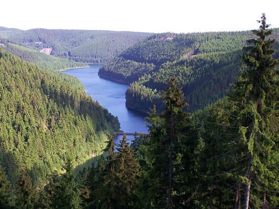 Blick auf das Ohratal (Foto: Th&uuml;ringenForst)
