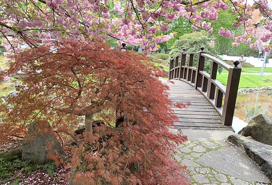 Japanischer Garten in Bad Langensalza (Foto: Eva Maria Wiegand) Japanischer Garten in Bad Langensalza (Foto: Eva Maria Wiegand)