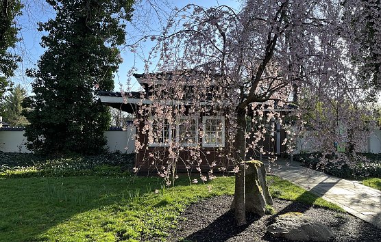 Eingangsbereich des Japanischen Gartens in Bad Langensalza  (Foto: oas)