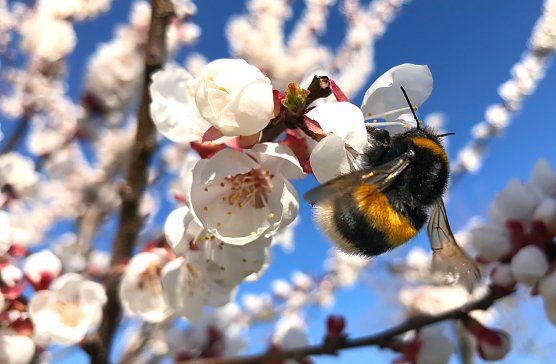Wetterbild (Foto: S. Hartung)