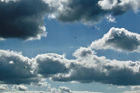 Wetter (Foto: MoB.Wieg)