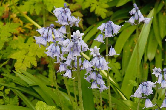 Wetterbild (Foto: agl) Wetterbild (Foto: agl)