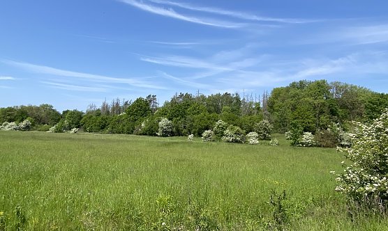 Das frühsommerliche Wetter bleibt erhalten (Foto: oas) Das frühsommerliche Wetter bleibt erhalten (Foto: oas)
