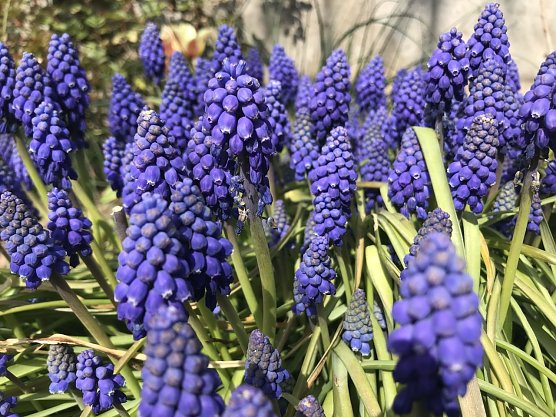 Wetterbild (Foto: agl)