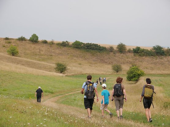Hinaus zum langen Tag der Natur (Foto: NABU Thüringen, Katharina Johnsen) Hinaus zum langen Tag der Natur (Foto: NABU Thüringen, Katharina Johnsen)