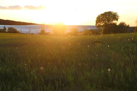 Wetterbild (Foto: agl)