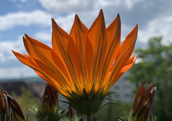 Etwas Regen und starker Wind (Foto: emw)