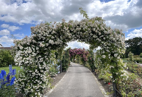 Weiterhin unbest&auml;ndiges Wetter (Foto: oas)