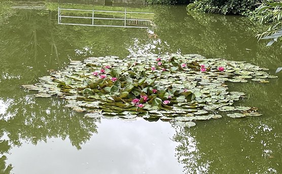 Ruhiges Hochdruckwetter (Foto: oas)