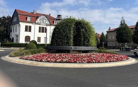 Bl&uuml;hender Kreisel in Bad Langensalza (Foto: oas)