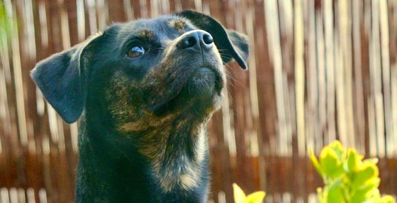 Symbolbild (Foto: emw (Archiv)) Symbolbild (Foto: emw (Archiv))