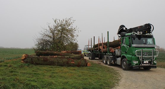 Überladener Sattelschlepper war auf der Flucht (Foto: Autobahnpolizei) Überladener Sattelschlepper war auf der Flucht (Foto: Autobahnpolizei)