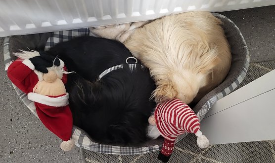 Anuk und Cavin Klein (Foto: Familie Klein)