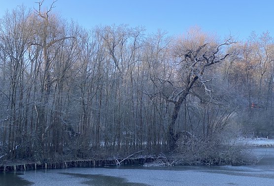 F&auml;llt doch die eine oder andre Schneeflocke an Heiligabend? (Foto: uhz Archiv)