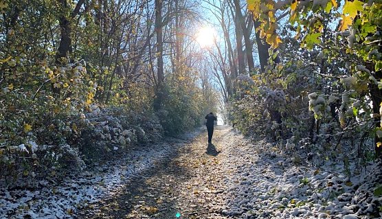 Es bleibt frostig (Foto: oas)