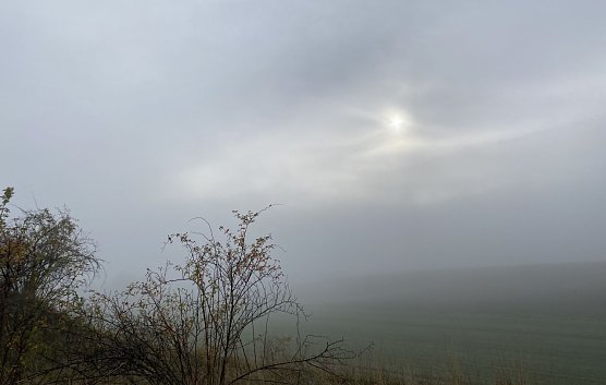 Gebietsweise wird es wieder neblig (Foto: oas)