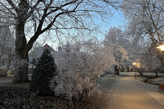 Weitere Nachtfr&ouml;ste bescheren ein winterliches Bild am Morgen (Foto: oas)