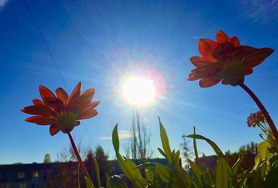 Symbolbild Sommerhitze (Foto: emw) Symbolbild Sommerhitze (Foto: emw)