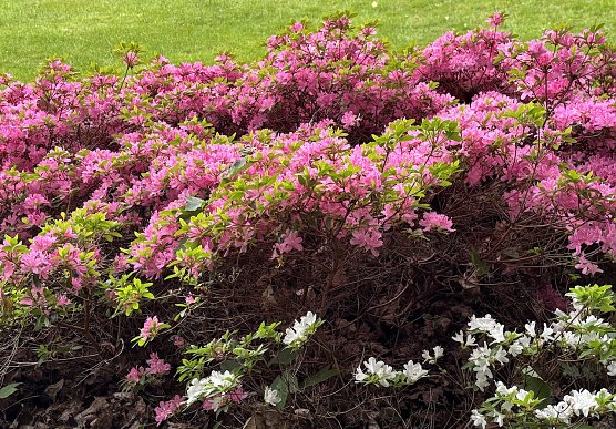 Gewitter- und Starkregengefahr (Foto: oas) Gewitter- und Starkregengefahr (Foto: oas)