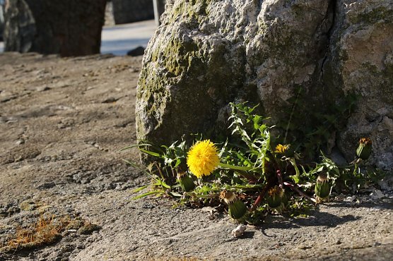 Wetterbild (Foto: agl) Wetterbild (Foto: agl)