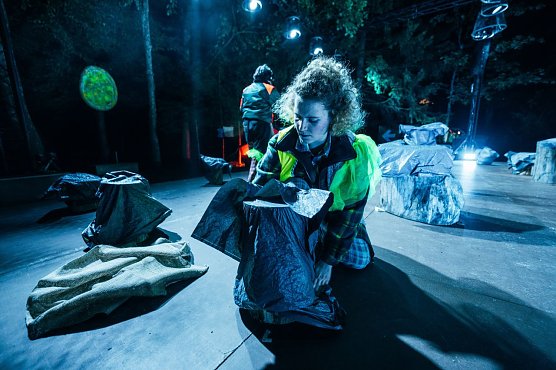 Wenn kein Baum mehr f&auml;llt (Foto: Jan Hendrik Herrmann)