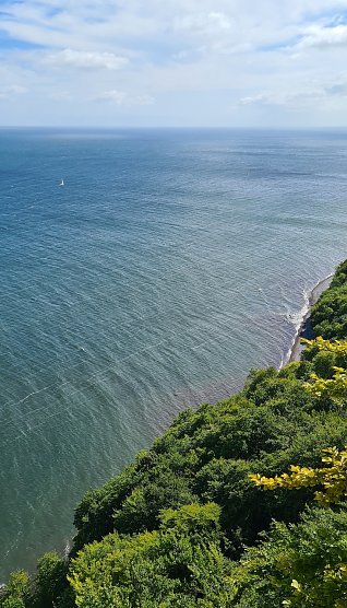 4. Nationalpark K&ouml;nigsstuhl Skywalk (Foto: Sylvia Schieblich)