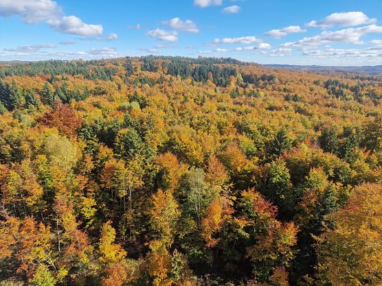 Wetterbild (Foto: agl) Wetterbild (Foto: agl)