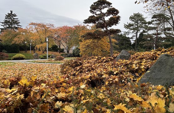 Ab morgen wieder st&uuml;rmisches Herbstwetter (Foto: oas)