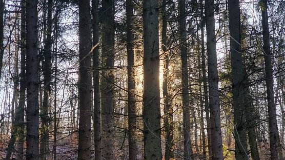 Symbolbild Wetter (Foto: agl) Symbolbild Wetter (Foto: agl)