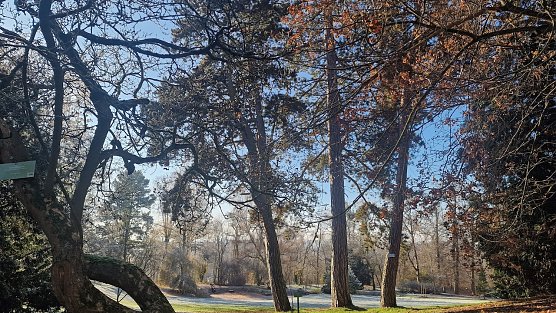 Wetterbild (Foto: agl) Wetterbild (Foto: agl)