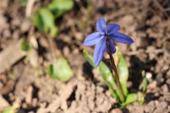Wetterbild (Foto: agl)