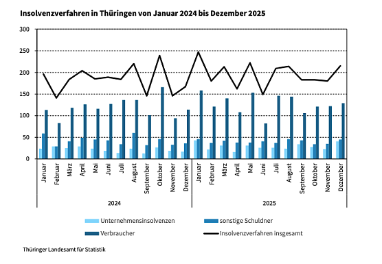&Uuml;berblick &uuml;ber das Insolvenzgeschehen im vergangenen Jahr.  (Foto: Grafik: Statistisches Landesamt)