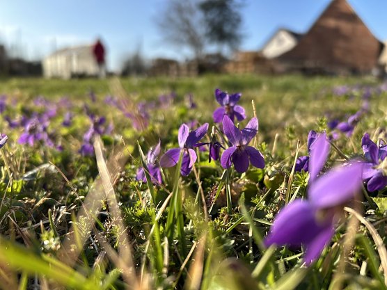 Symbolbild Fr&uuml;hling (Foto: agl)