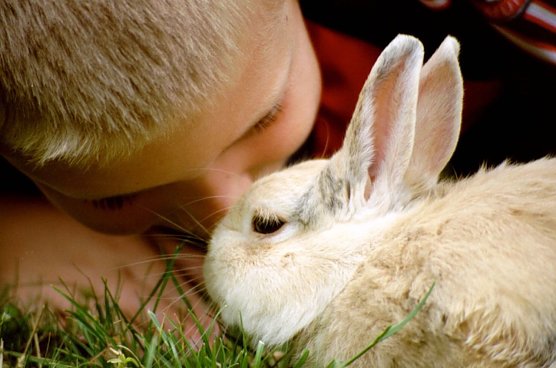 Junge mit Kaninchen Hoppeline (Foto: Eva Maria Wiegand)