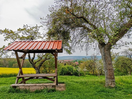 Fr&uuml;hlingsmoment (Foto: Gerald Sch&uuml;tze)