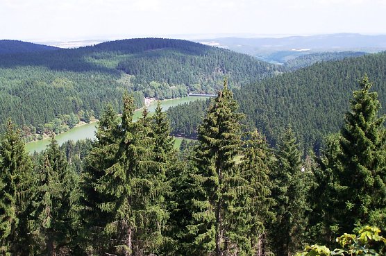 L&uuml;tscheblick (Foto: ThForst/Dr. Horst Spro&szlig;mann)