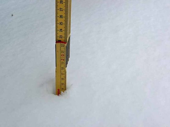 14 Zentimeter (Foto: Karl-Heinz Herrmann)