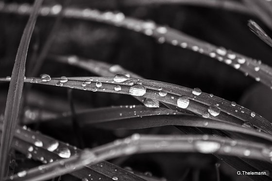 Bild: Wetter-Bild