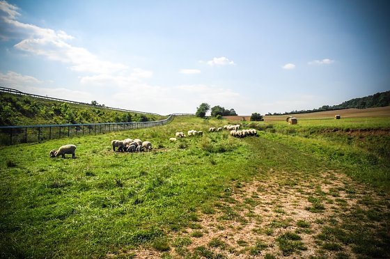 Bild: Wetter-Bild