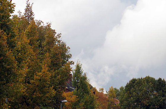 Bild: Wetter-Bild