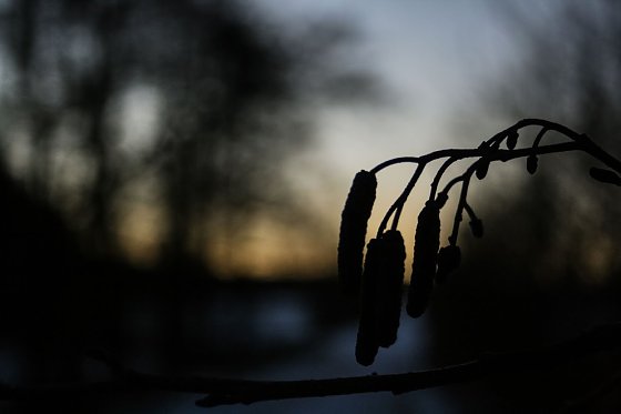 Bild: Wetter-Bild