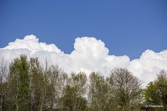 Bild: Wetter-Bild