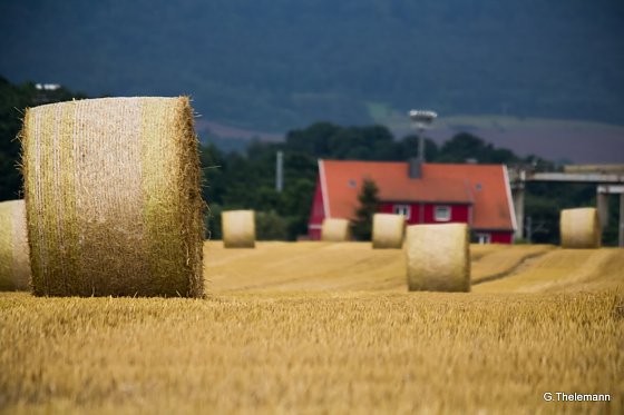 Bild: Wetter-Bild