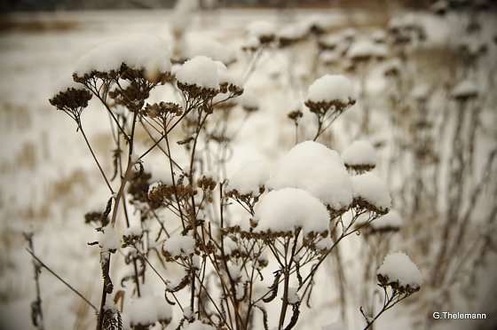 Bild: Wetter-Bild