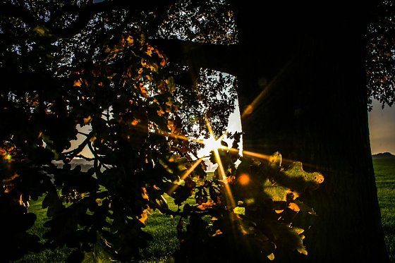 Bild: Wetter-Bild