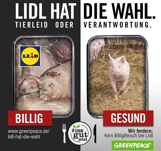 Bild: Fotomontage 